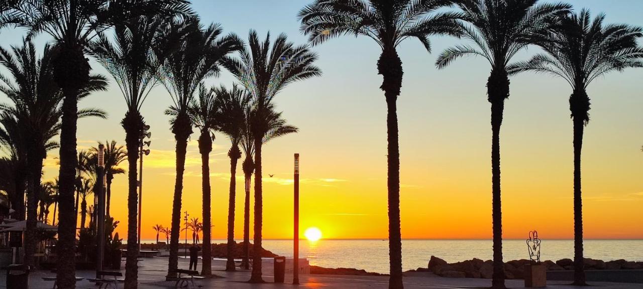 Beachside Apartment In Torrevieja Eksteriør billede